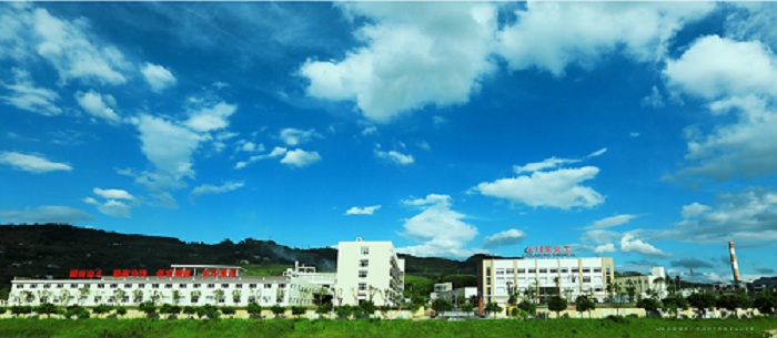 川東化工優(yōu)質的焦磷酸鈉廠家