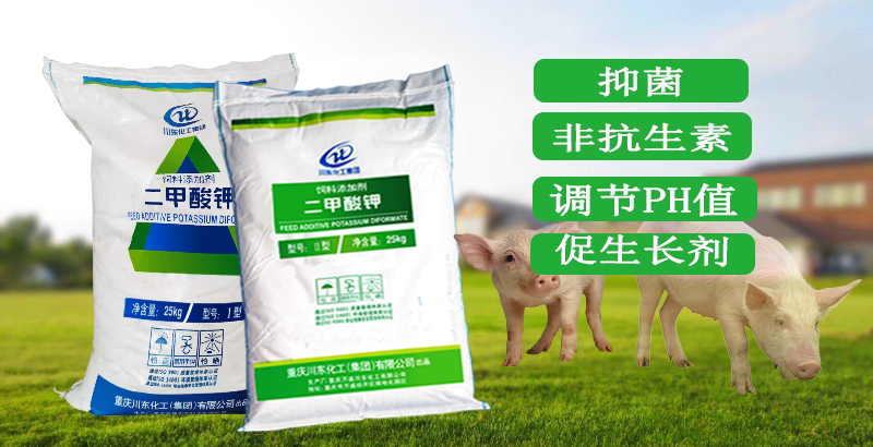 非抗生素飼料添加劑二甲酸鉀適合豬料無抗方案嗎？